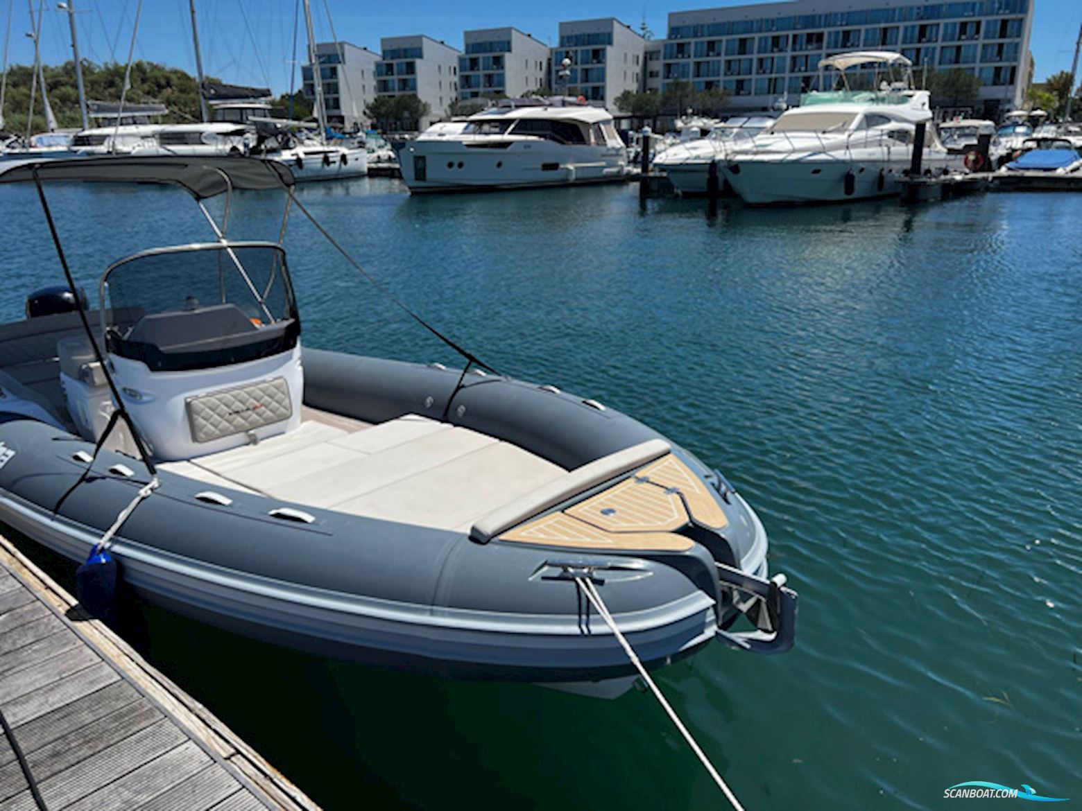 Salpa Soleil 23
