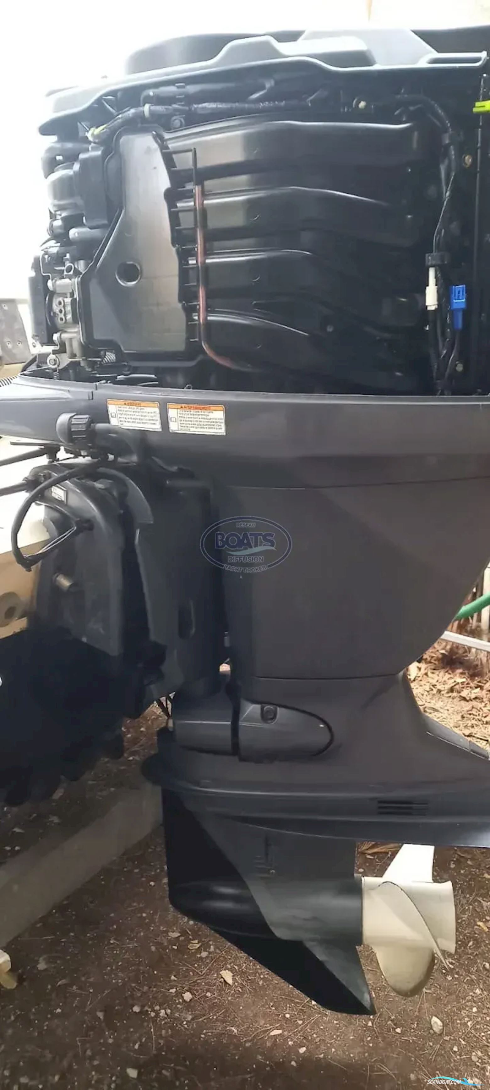 Zodiac Open Pro 550 + Remorque