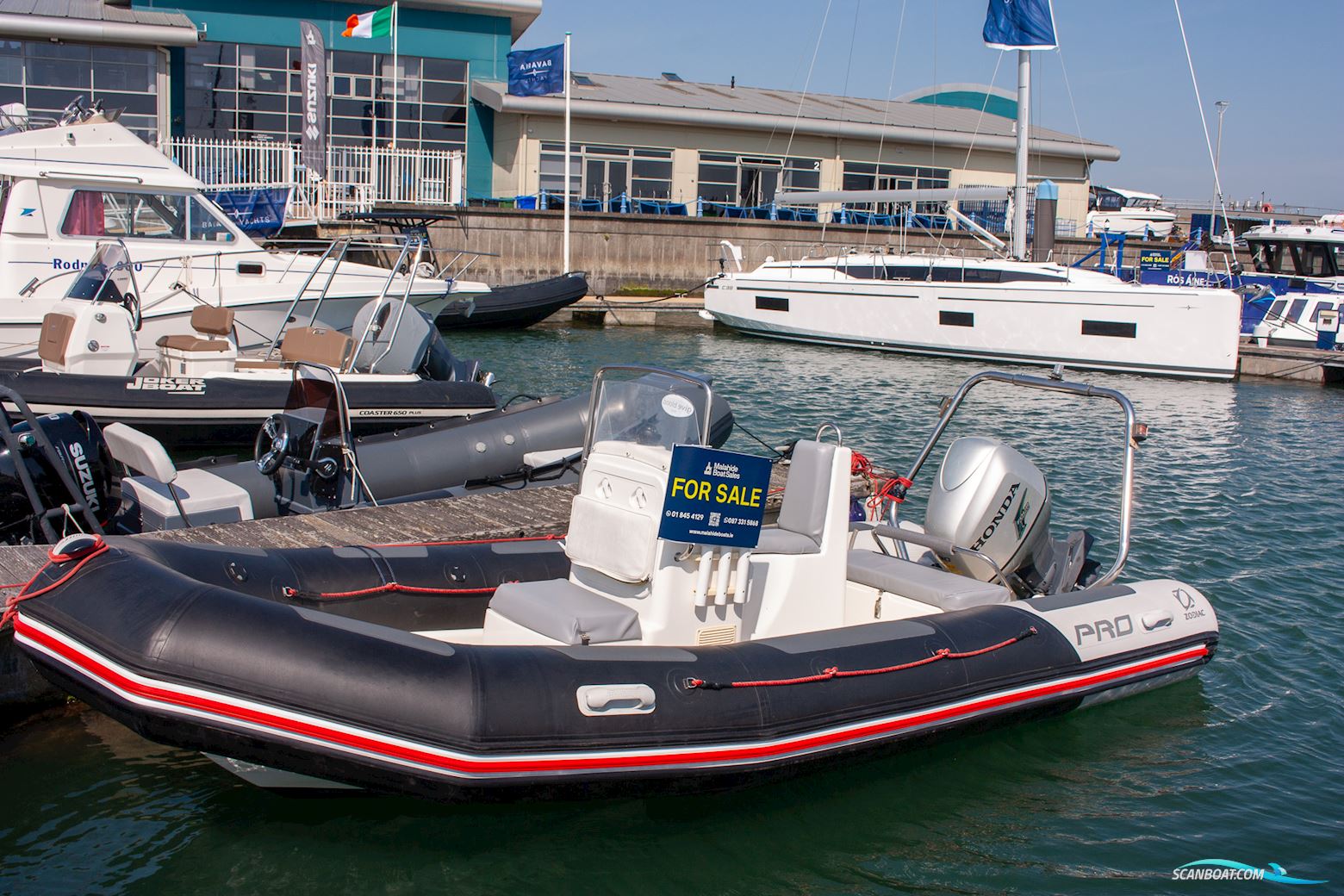 Zodiac Pro 12 Man