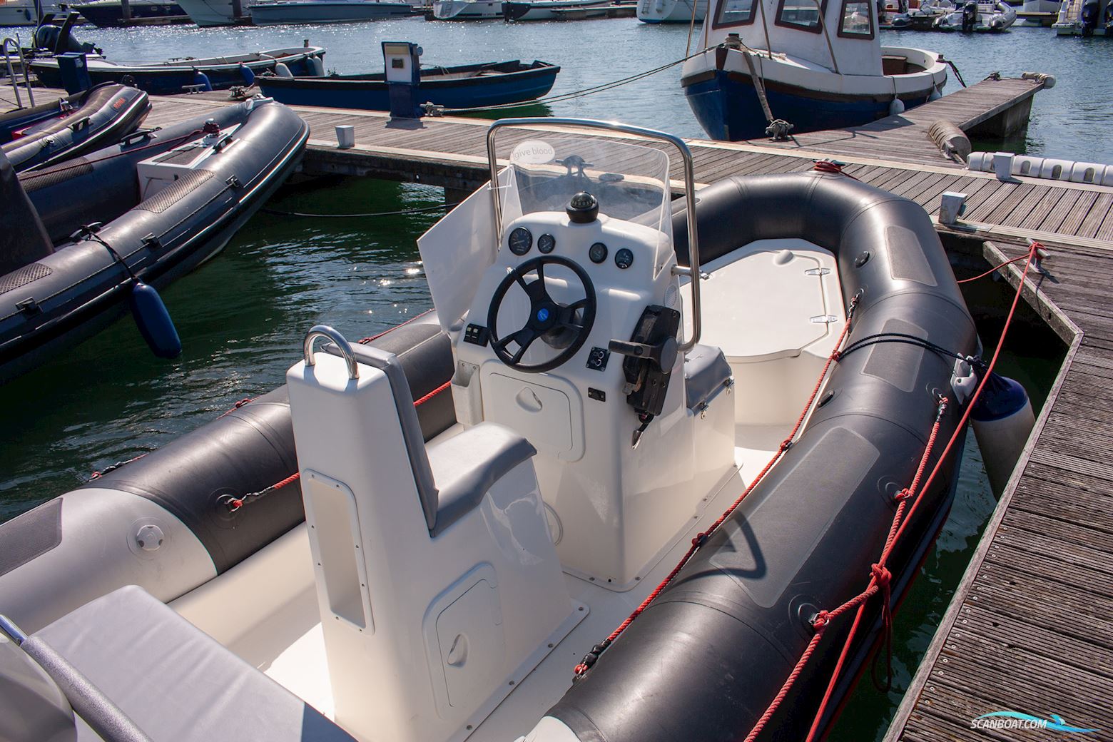 Zodiac Pro 12 Man