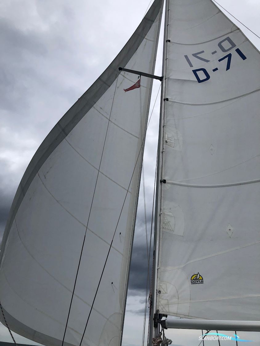  Beneteau first 29 