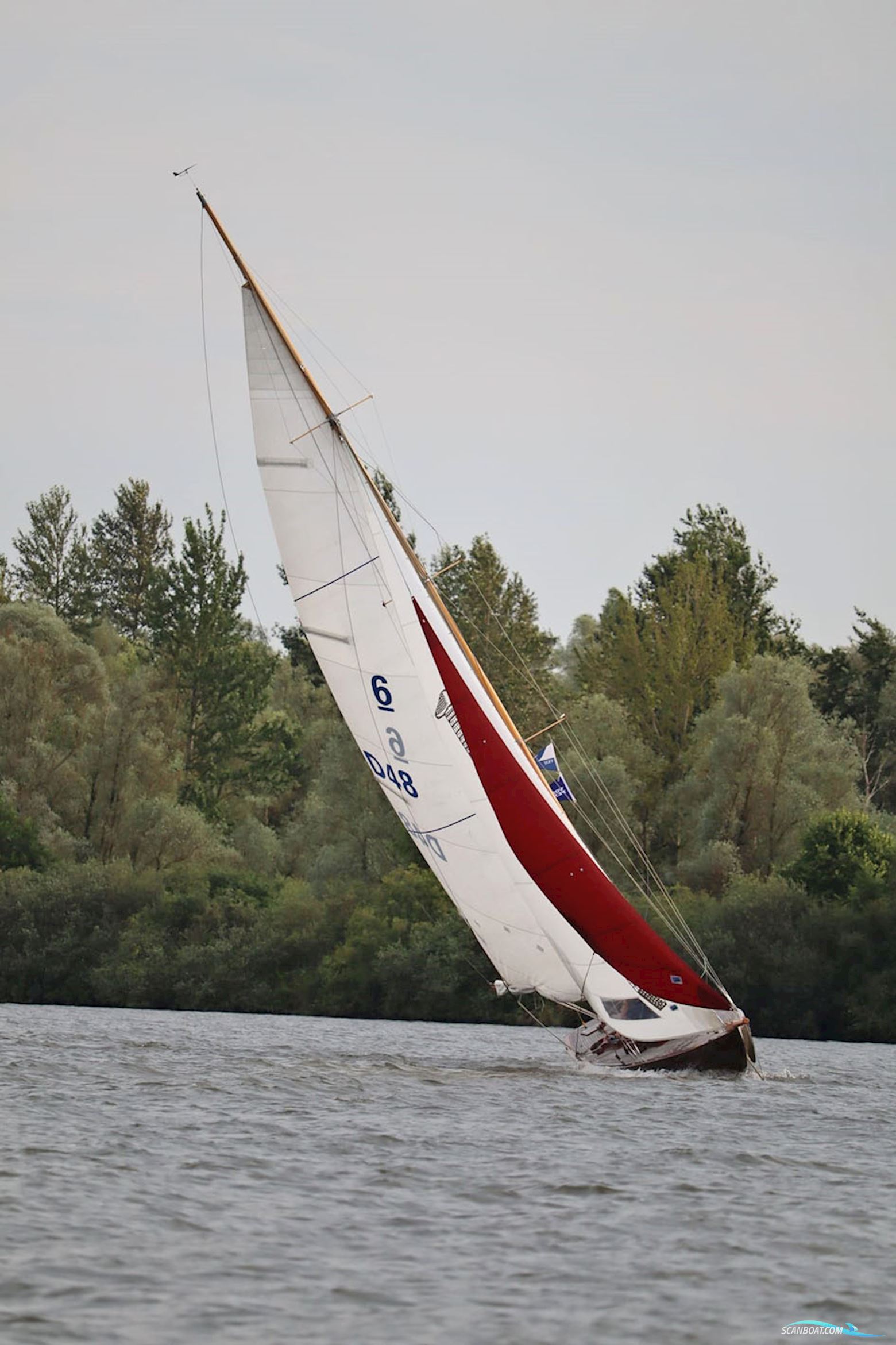 6mR Klassiek Zeiljacht 11.48
