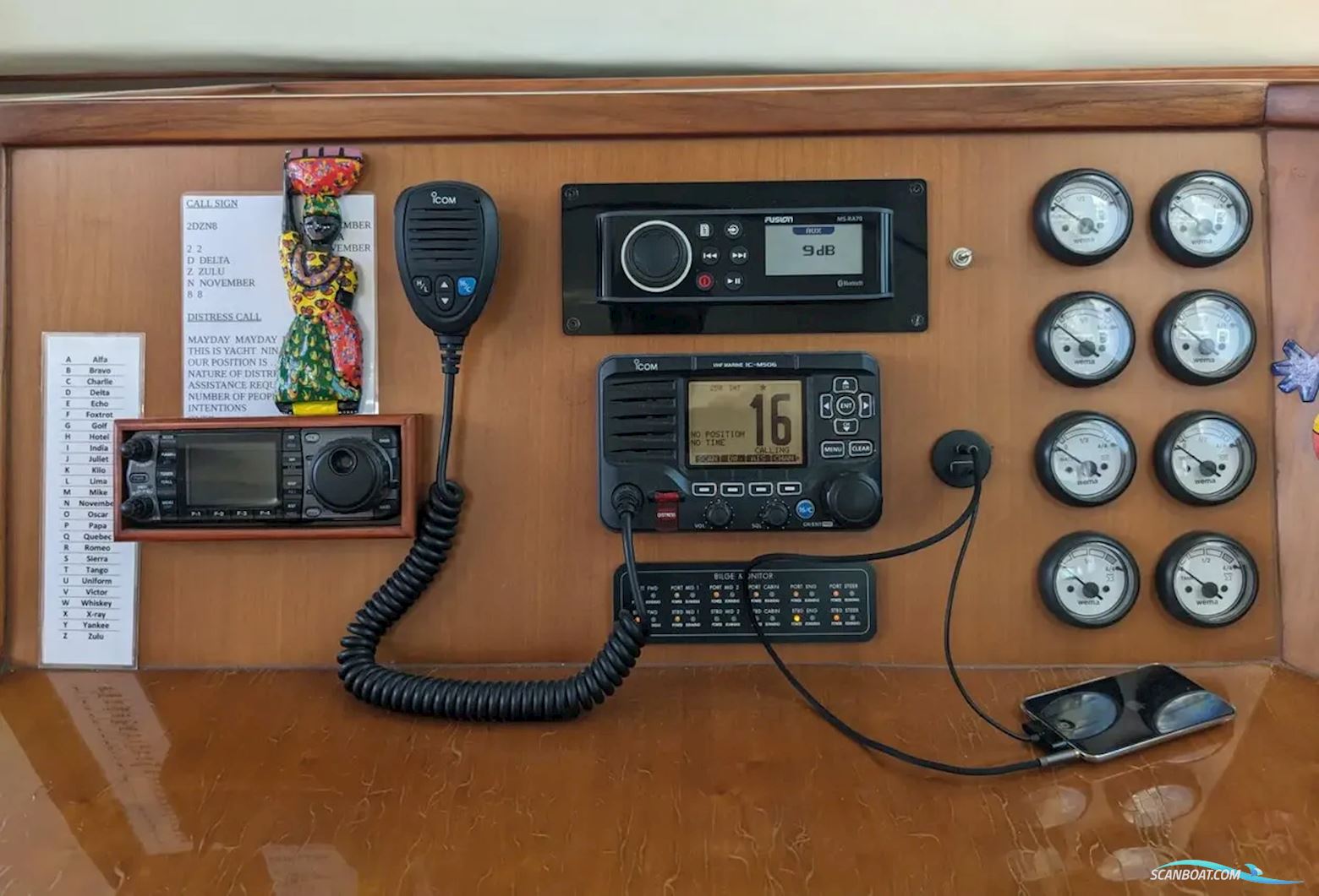 African Cats Fast Cat 435