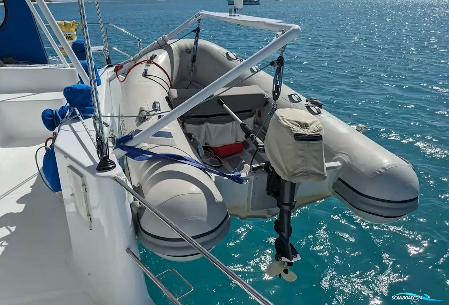 African Cats Fast Cat 435