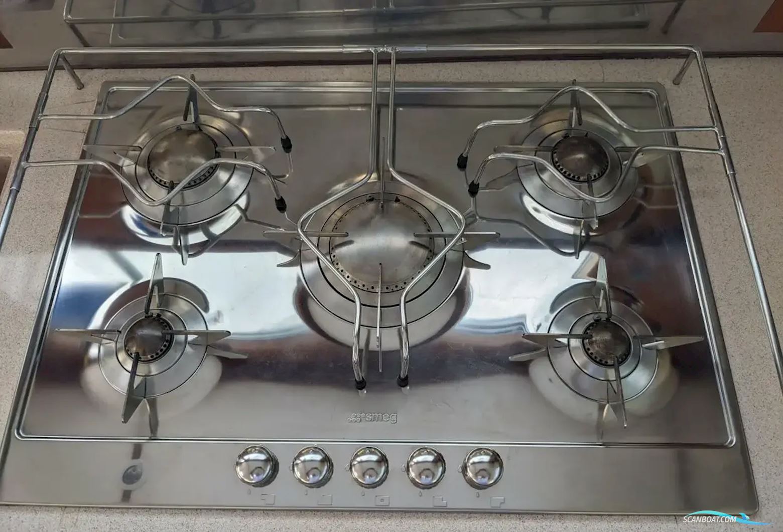 African Cats Fast Cat 435