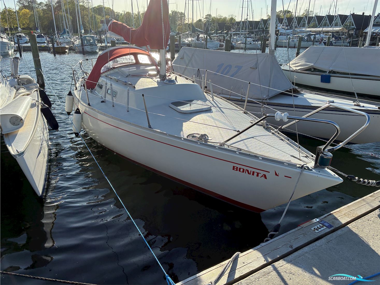 Albin Accent 26