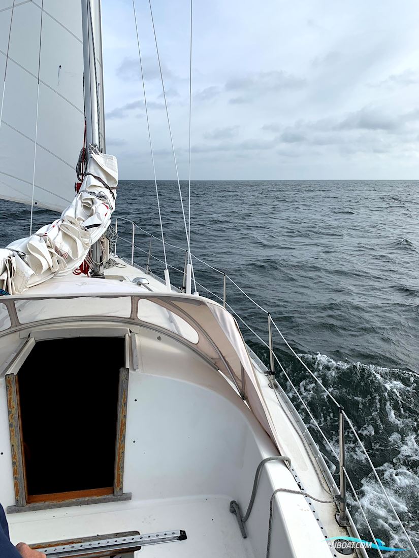 Albin Ballad - Neuer Motor Nanni N3.21 - 0,00 sm