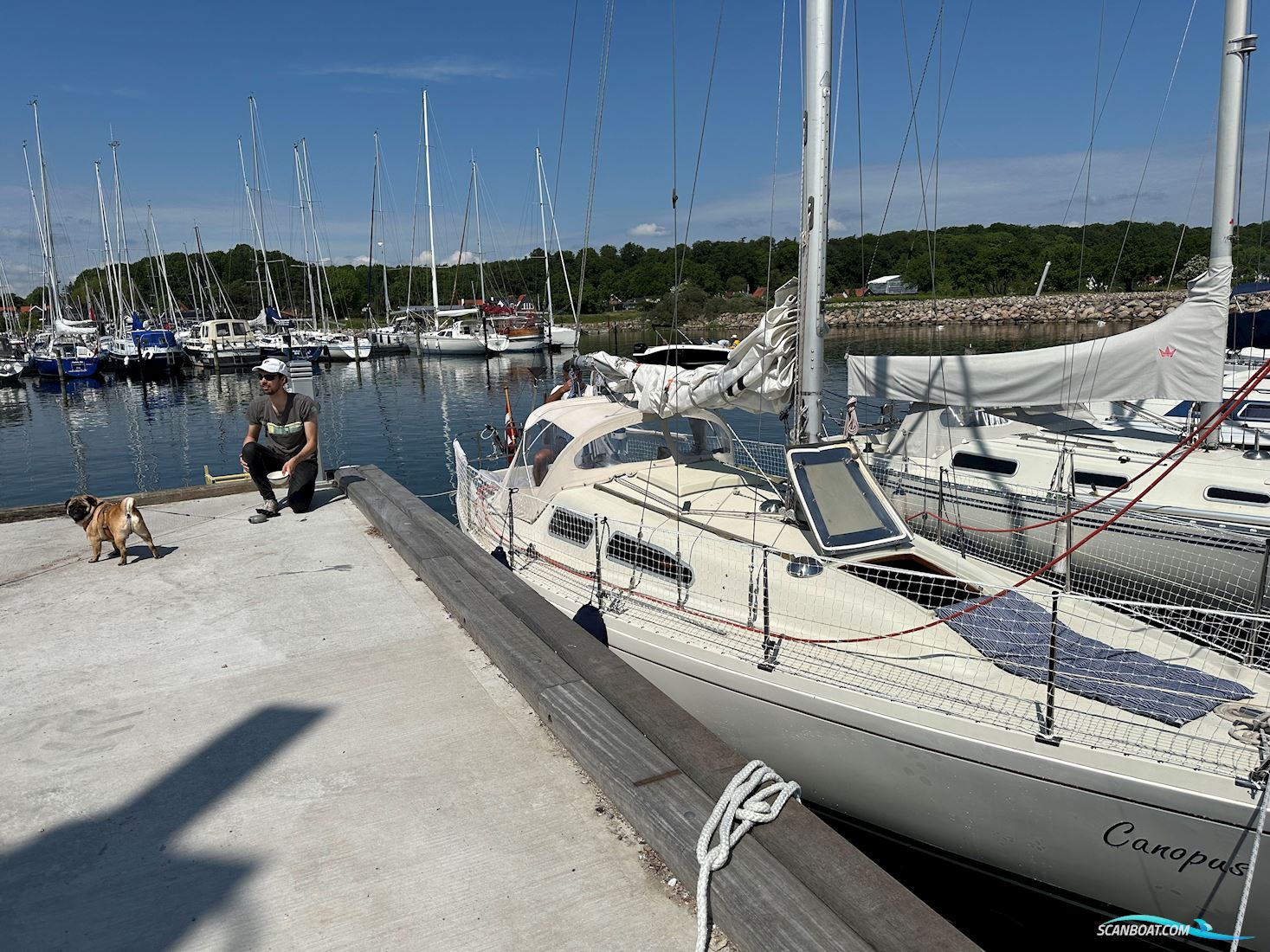 Albin Ballad Segelbåt 1978, med Volvo Penta MD7A motor, Danmark