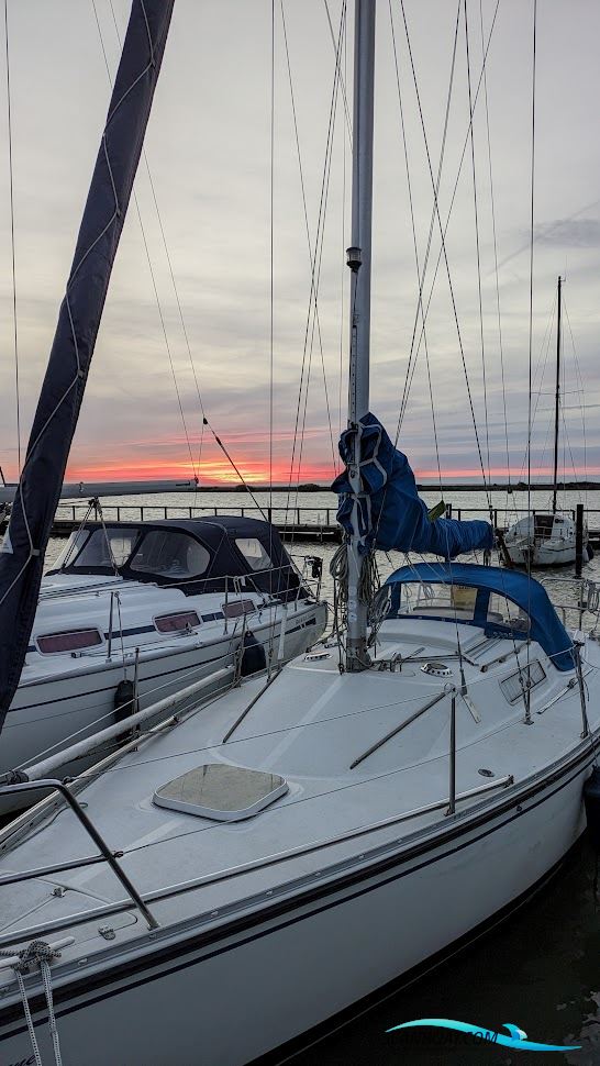 Albin Cumulus 85