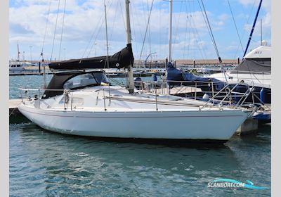 Albin Scampi 30 Segelbåt 1973, med Volvo Penta motor, England