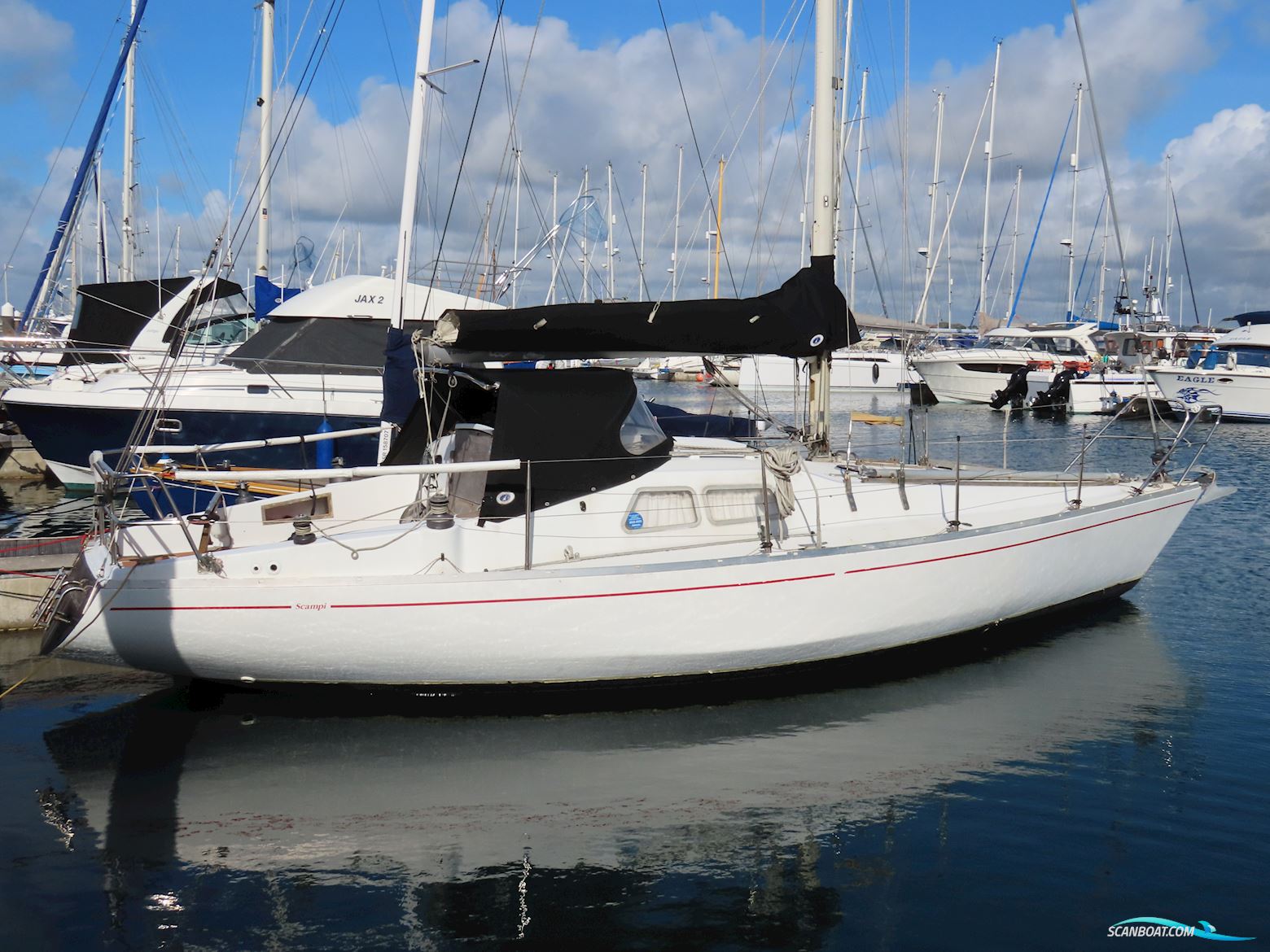 Albin Scampi 30