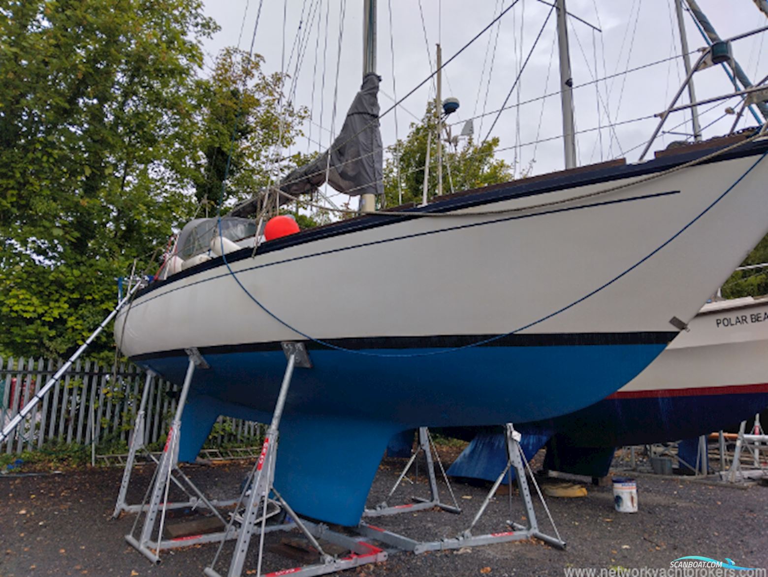Albin Singoalla 34