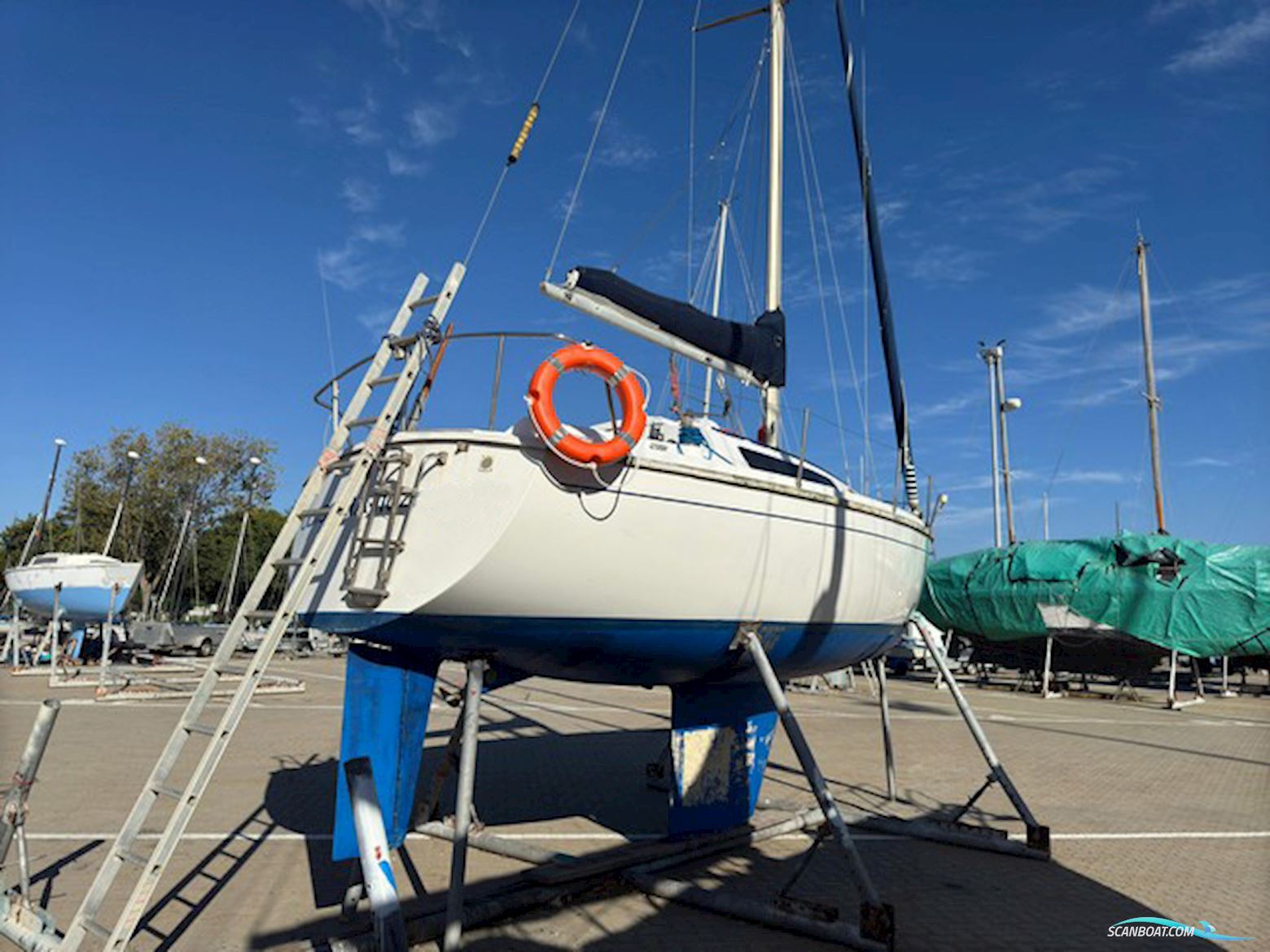 Aloa 27