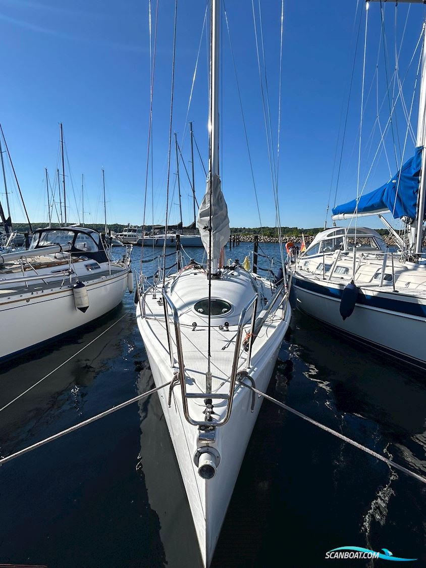 Archambault Grand Surprise