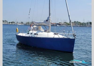 Astraea 295 Sprinter Segelbåt 2002, Holland