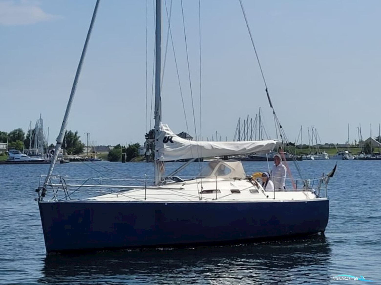 Astraea 295 Sprinter