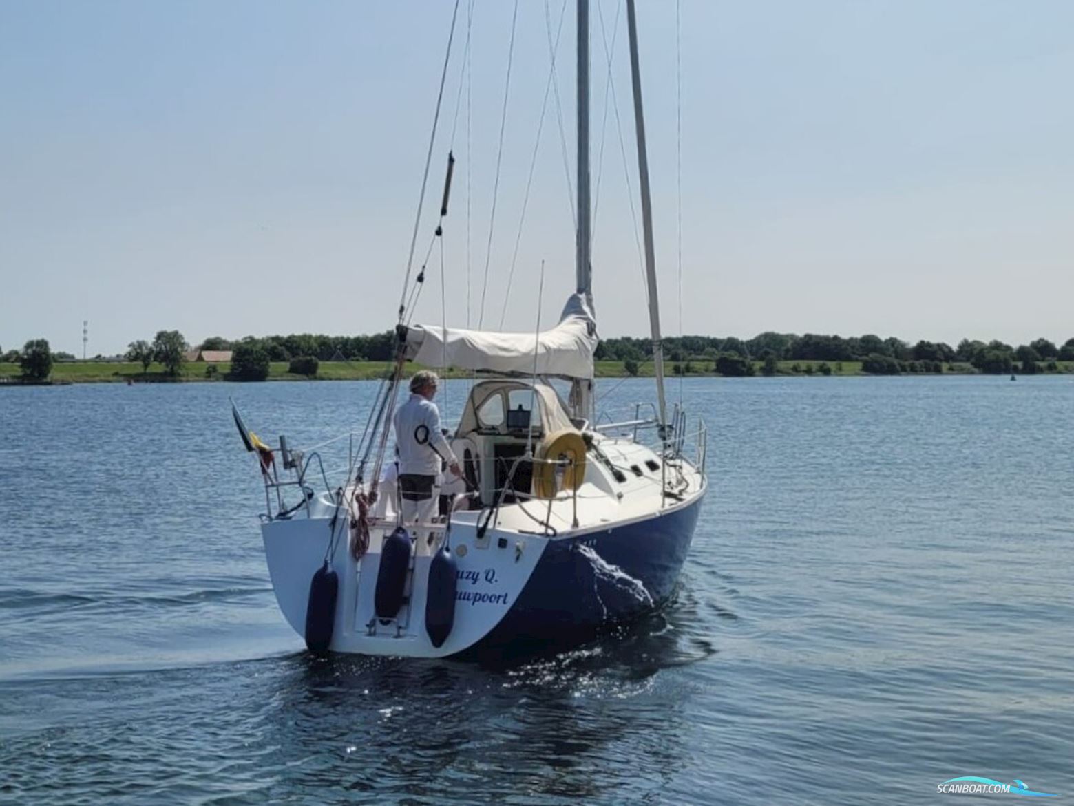 Astraea 295 Sprinter