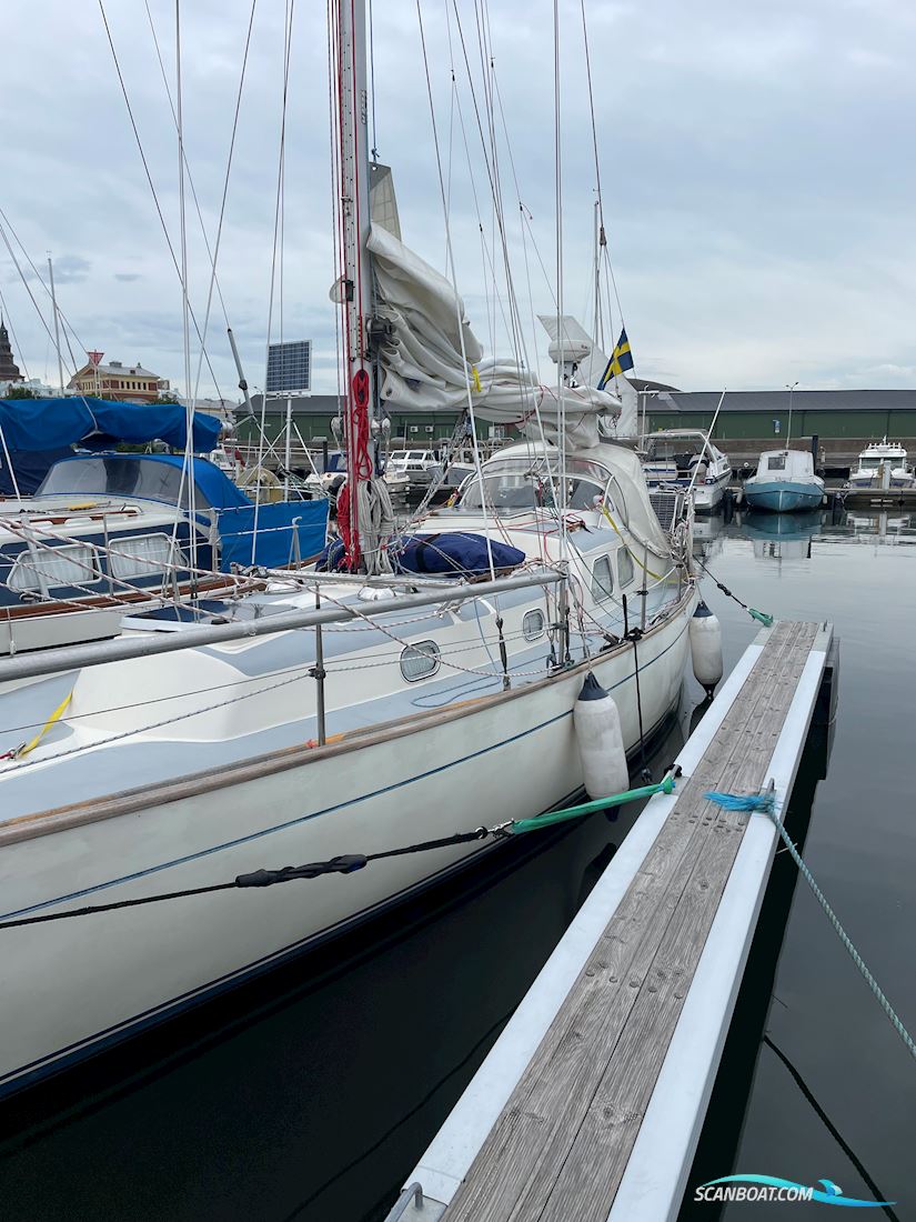 Bacchant 36