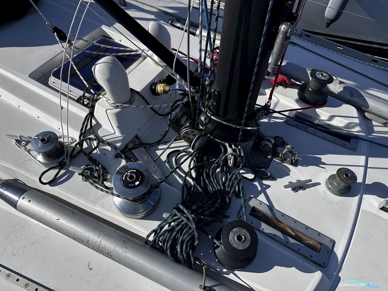 Baltic 42