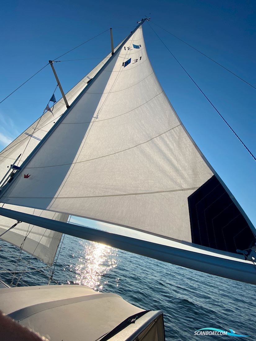 Bavaria 31