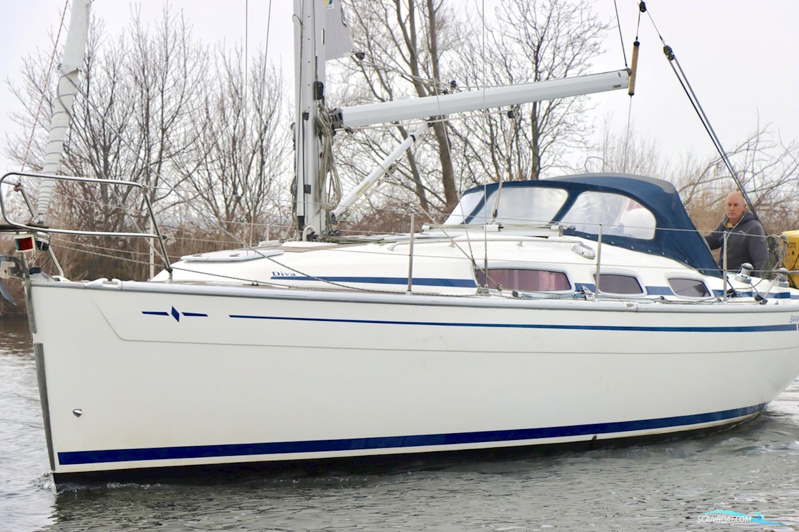 Bavaria 31