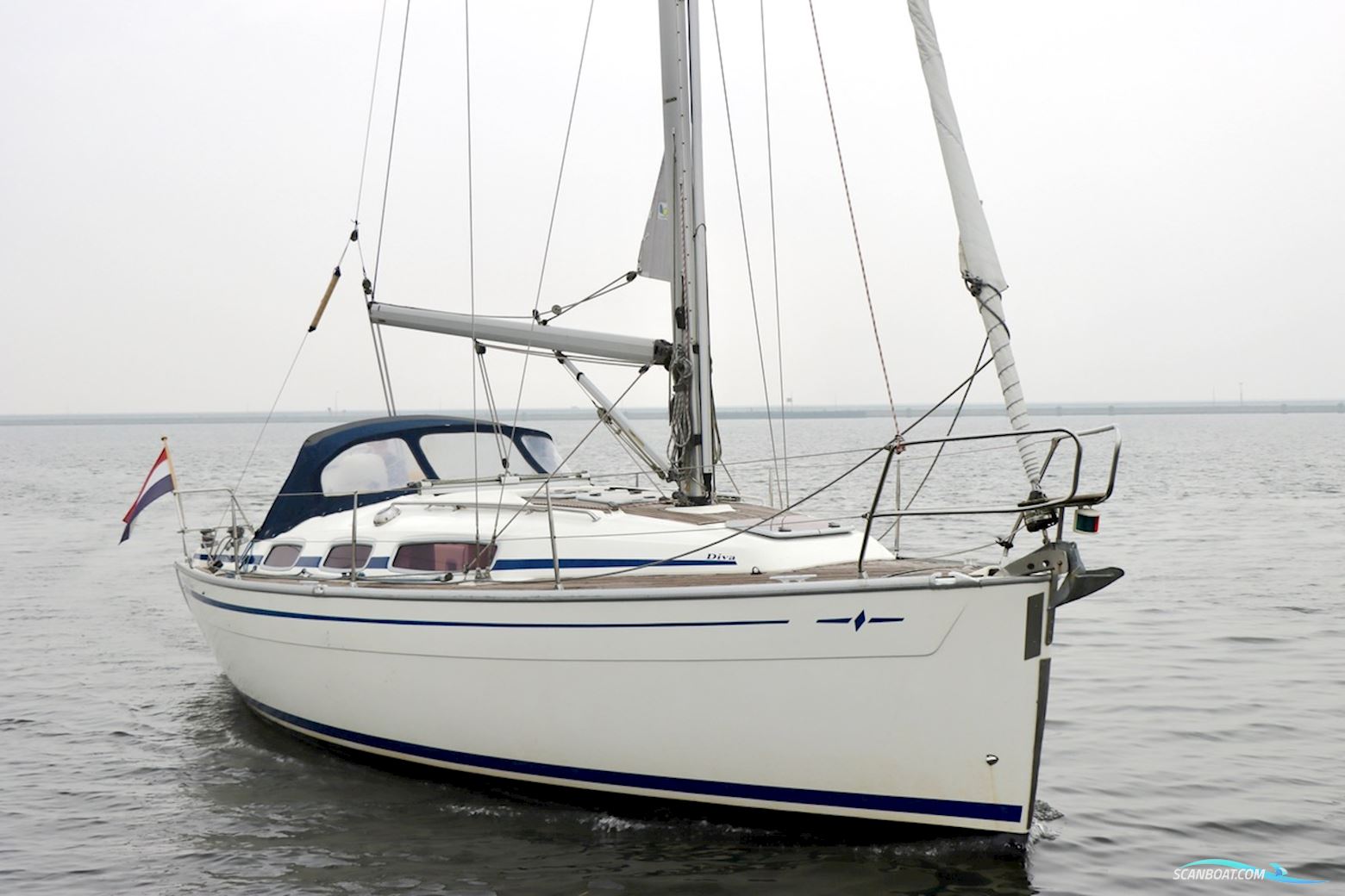 Bavaria 31