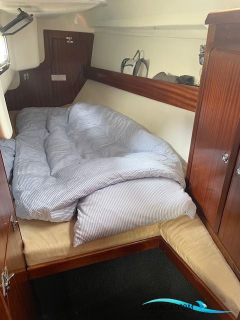 Bavaria 31