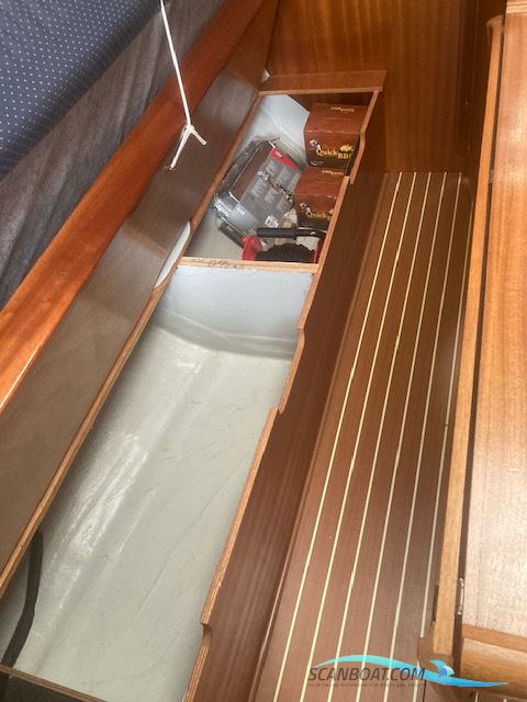 Bavaria 31