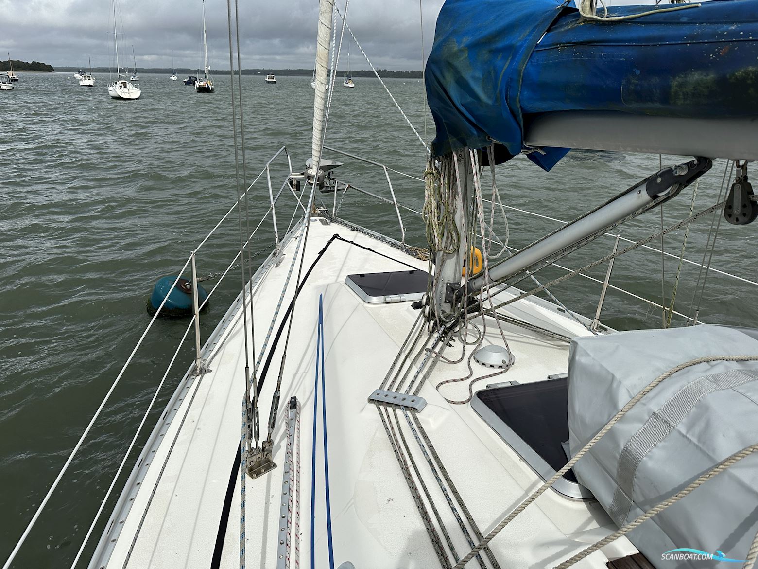 Bavaria 320 Sportline