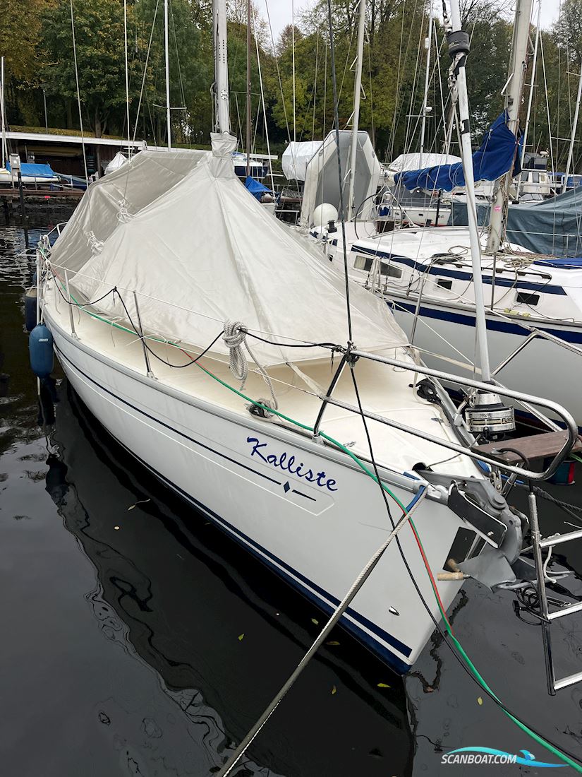Bavaria 36-2
