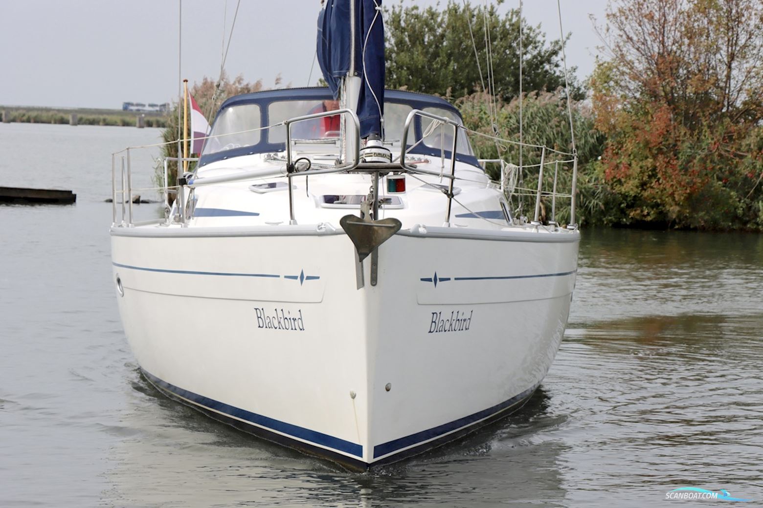 Bavaria 37-2 C