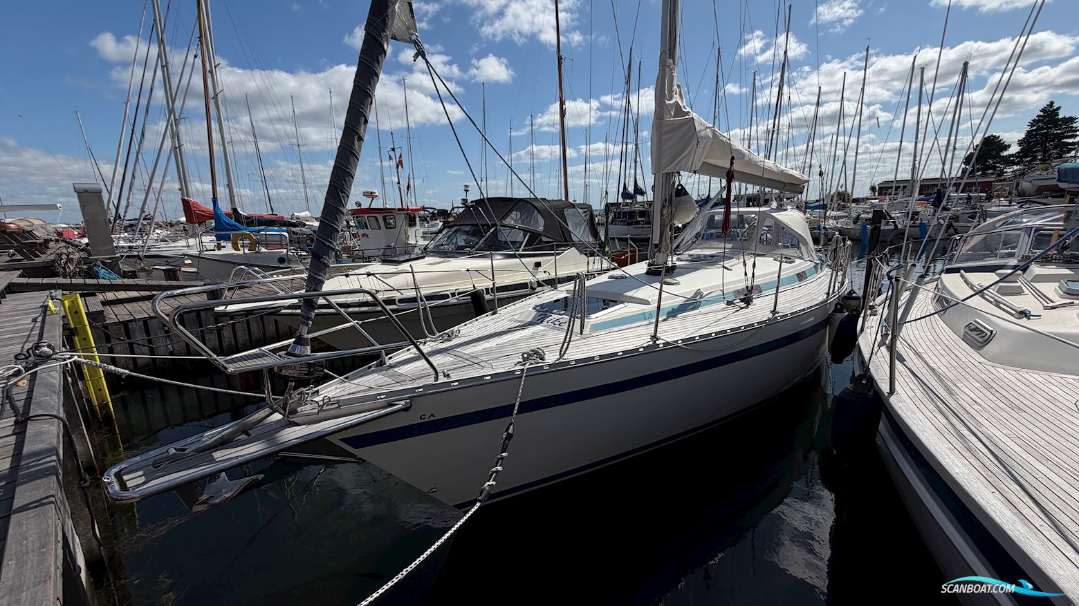 Bianca 107