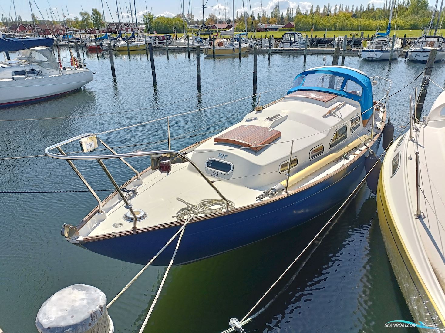 Bianca 27 