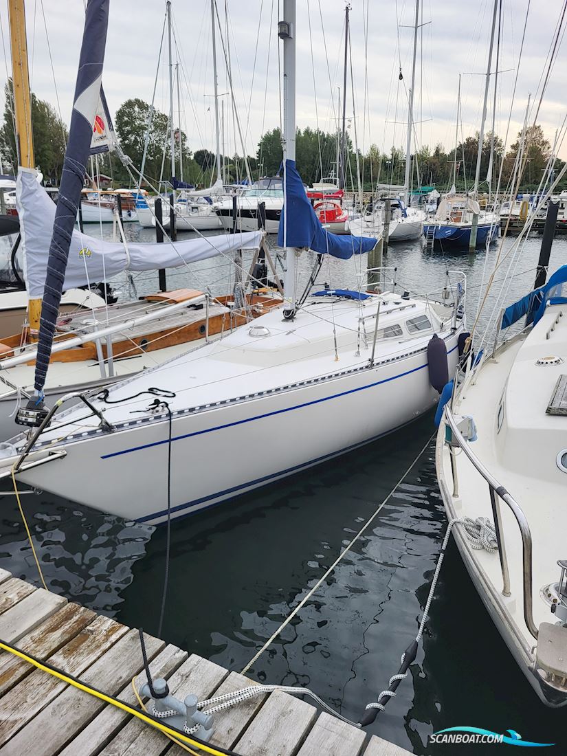 Bianca 28 nr 249 Segelbåt 1978, med Volvo Penta 2001 motor, Danmark