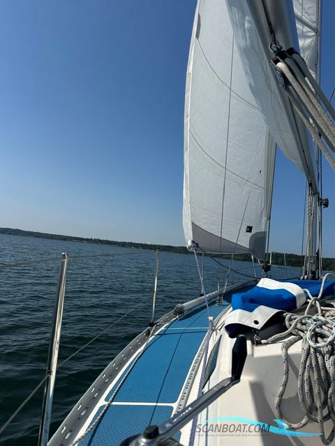Bianca 320