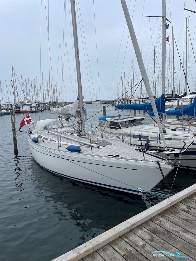 Bianca 36