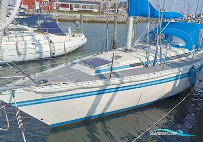 Bianca Lido Segelbåt 1982, med Yanmar 2 GM 20C motor, Danmark