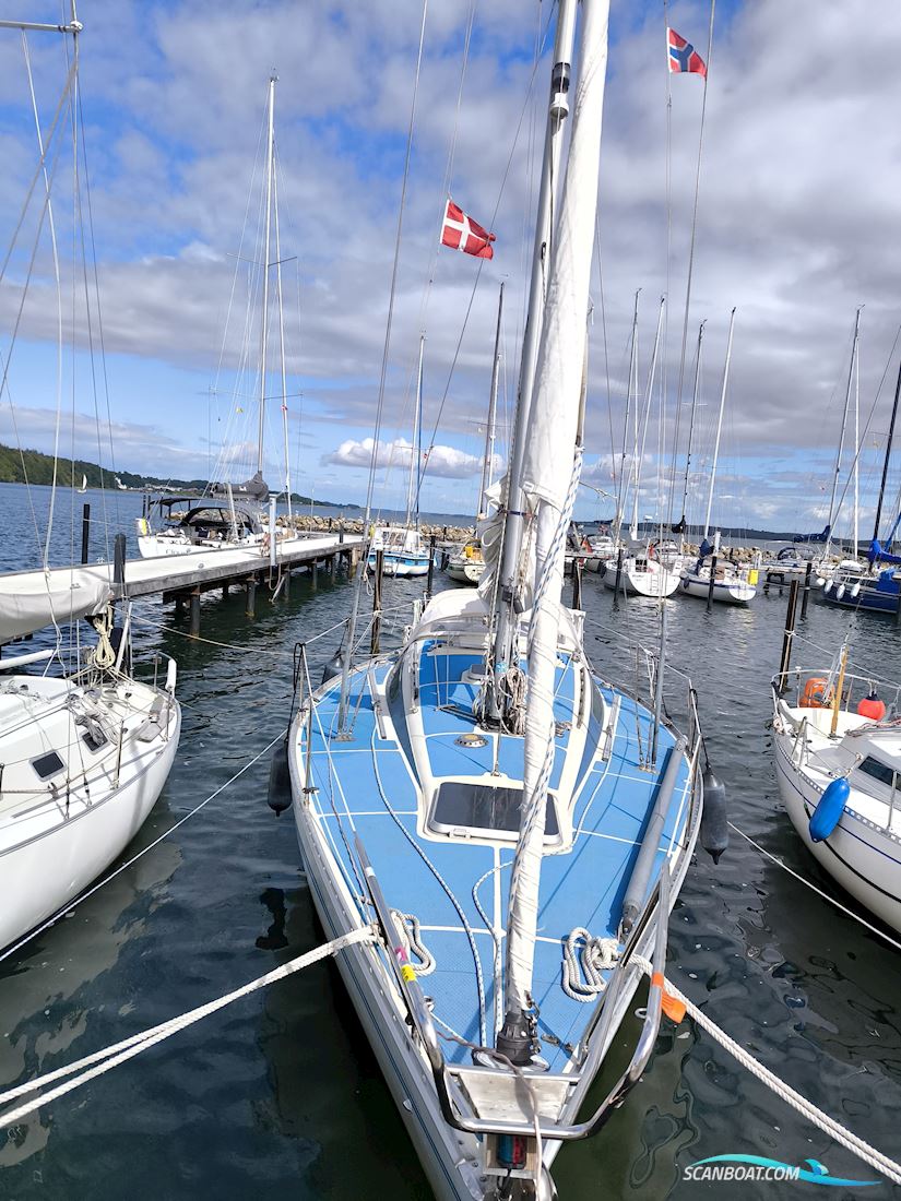 Bianca Riviera 32 Segelbåt 1983, med Buhk motor, Tyskland