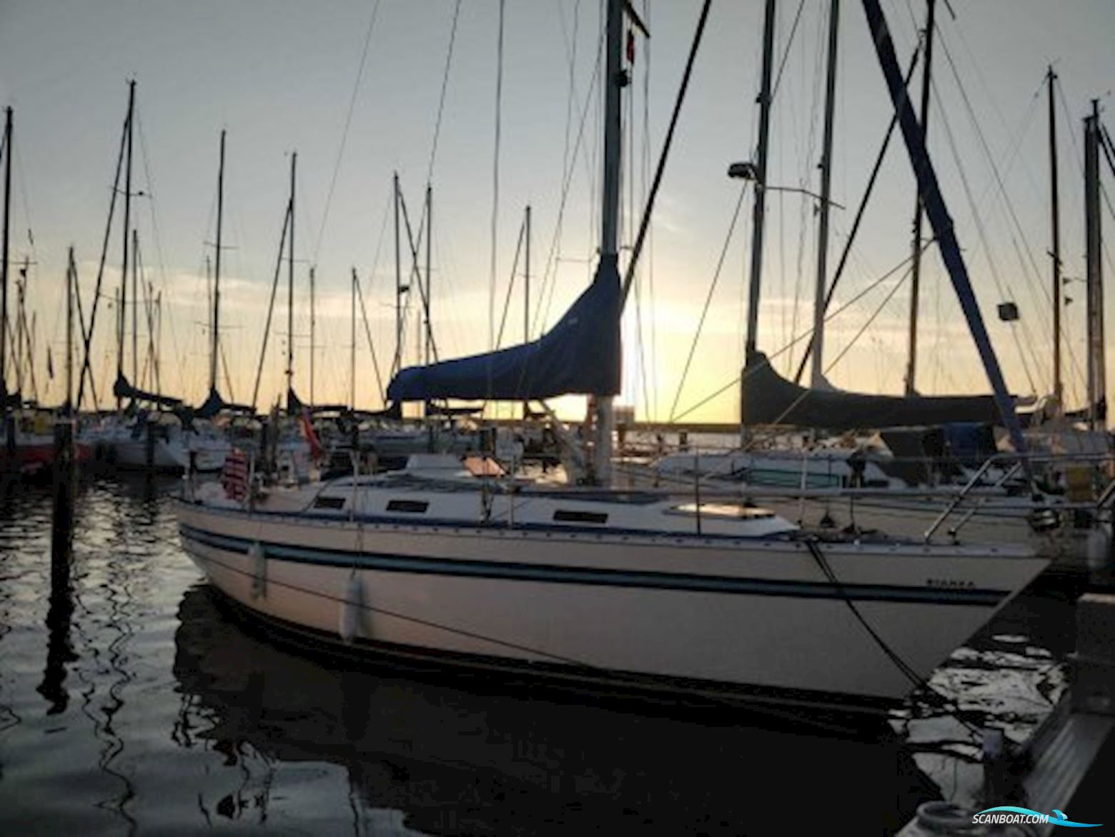 Bianca Yacht Bianca 320