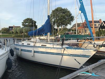 Bianca Yacht Bianca 320 Segelbåt 1990, med Yanmar motor, Holland