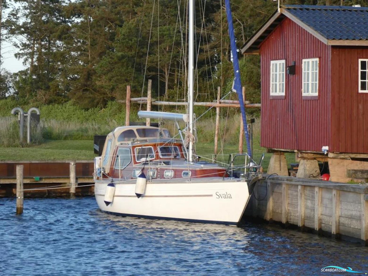 Biga 29 MS