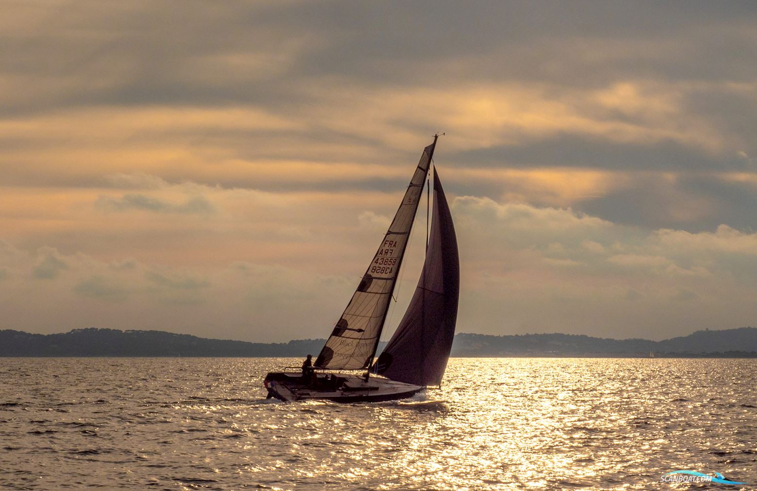 Black Pepper Code # daysailer