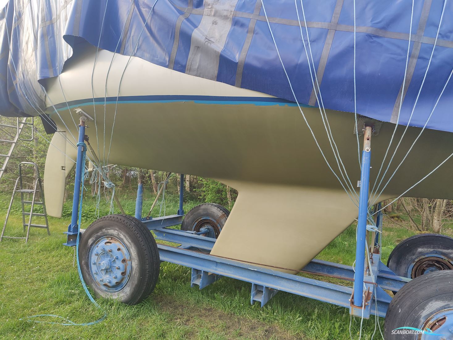 Blue Leth 32