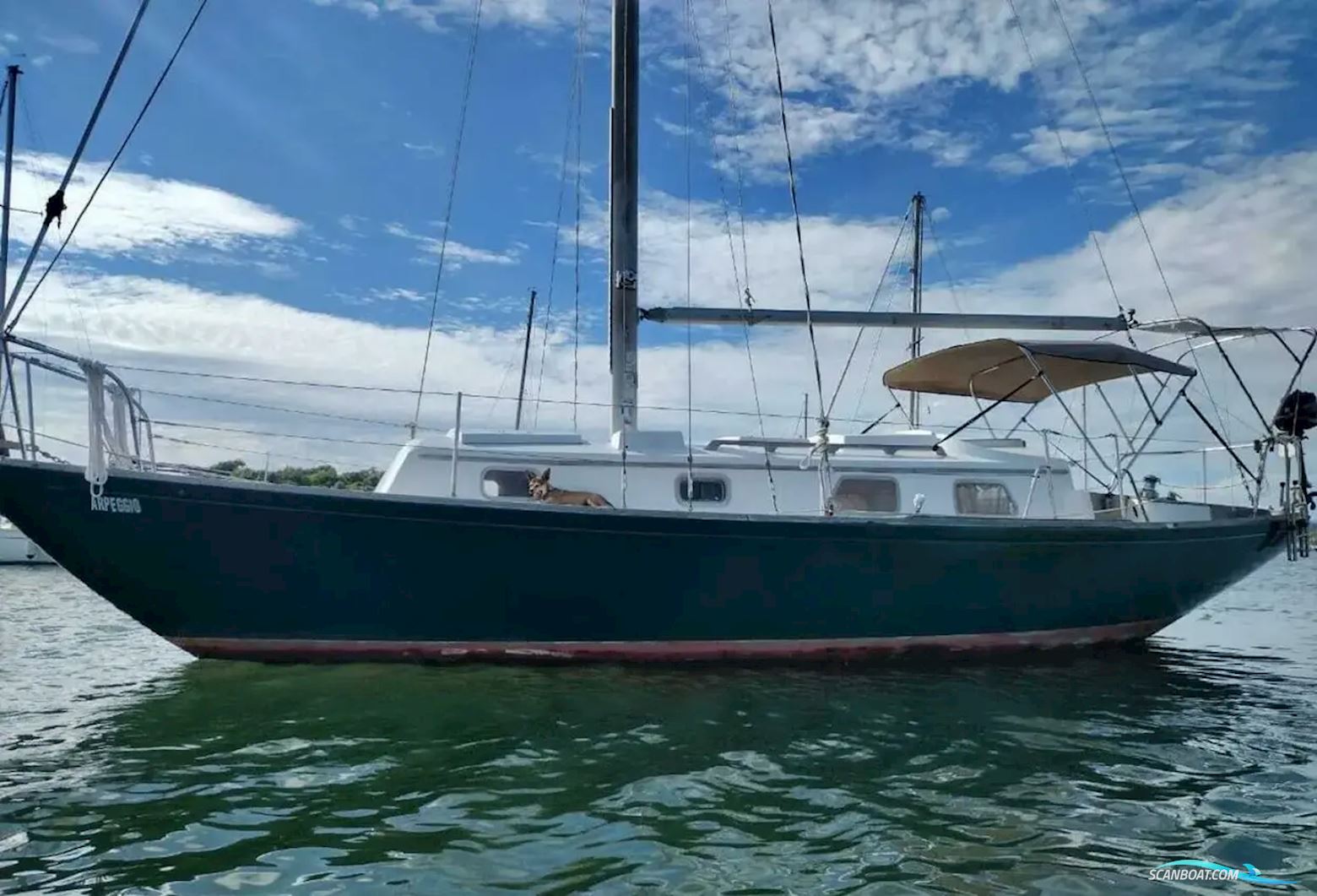 Bristol 32