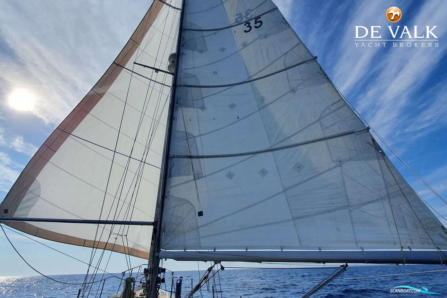 Brown Bluewater 49