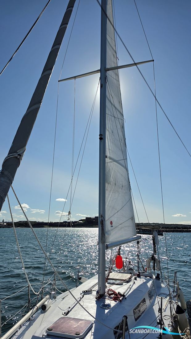 Bruce Roberts 34