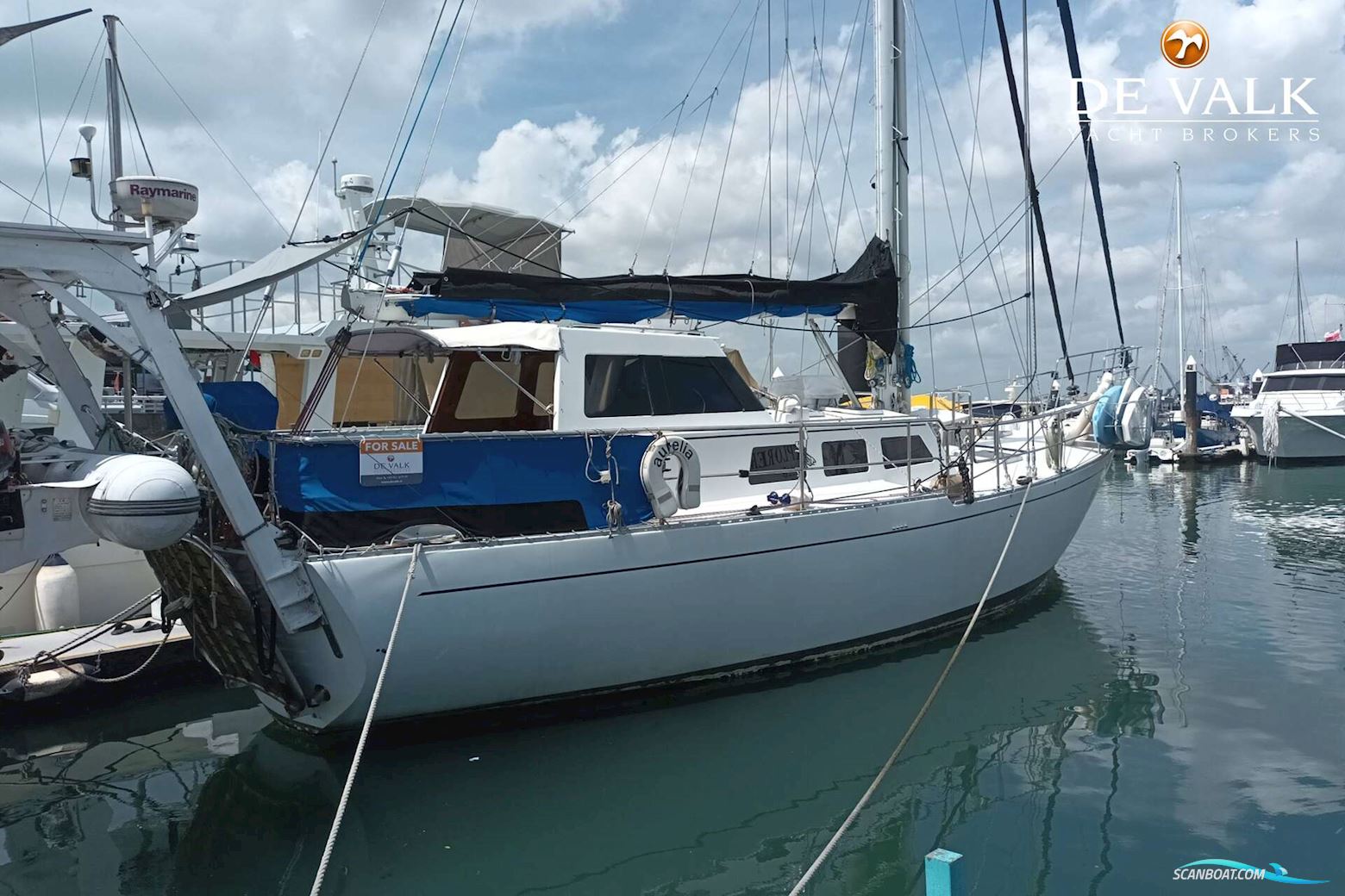 Bruce Roberts 50 (Henry Morgan)