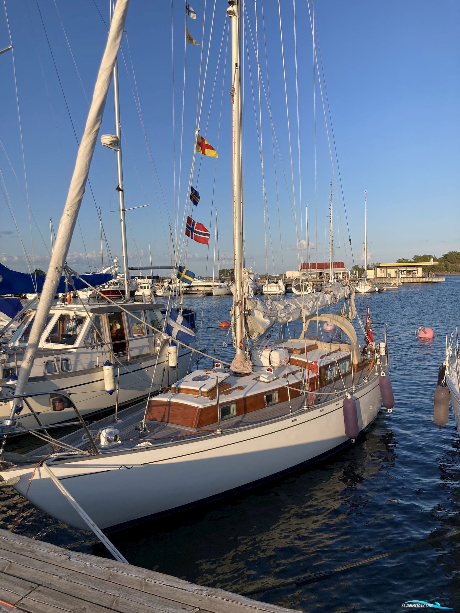 Buchanan 37 Segelbåt 1962, med Volvo 2003 motor, Danmark