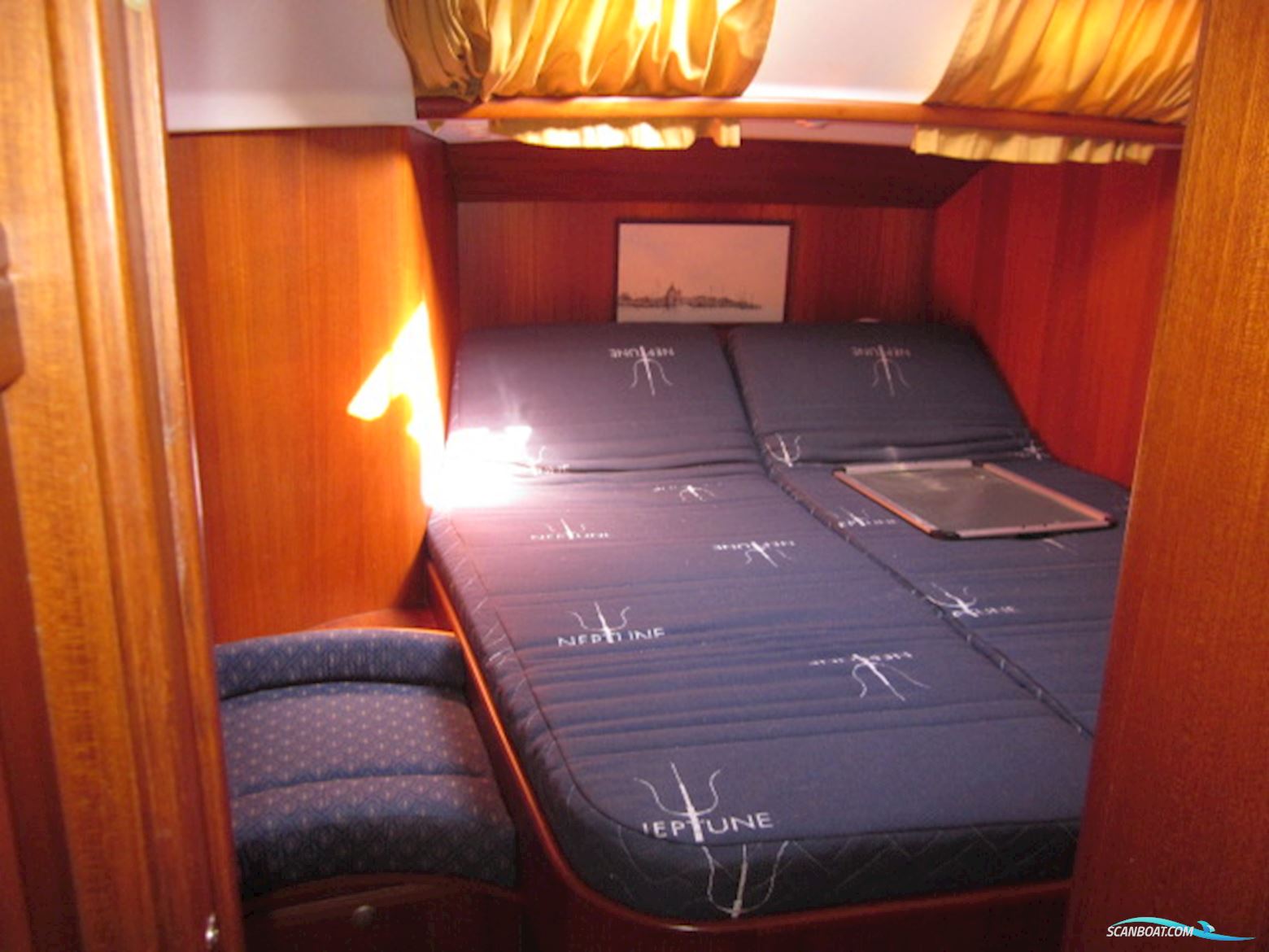C-Yacht C-12.50