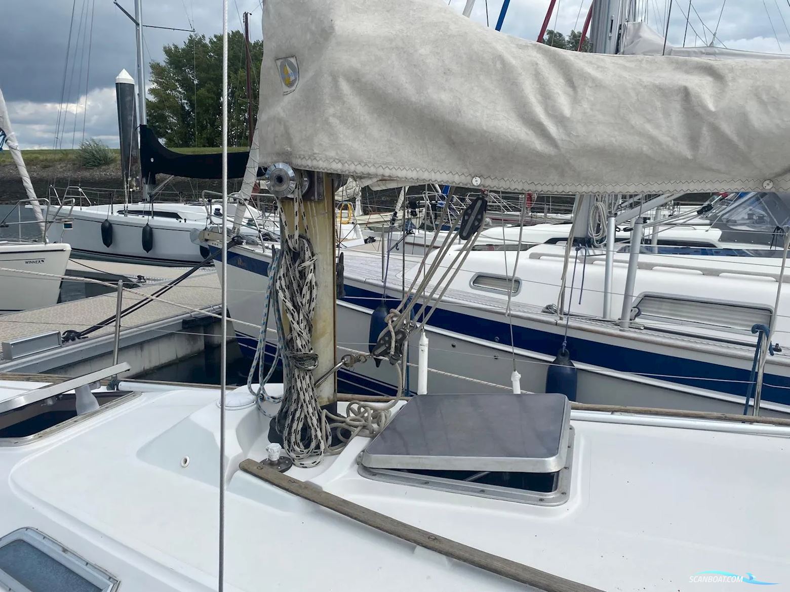 Camper & Nicholsons 31